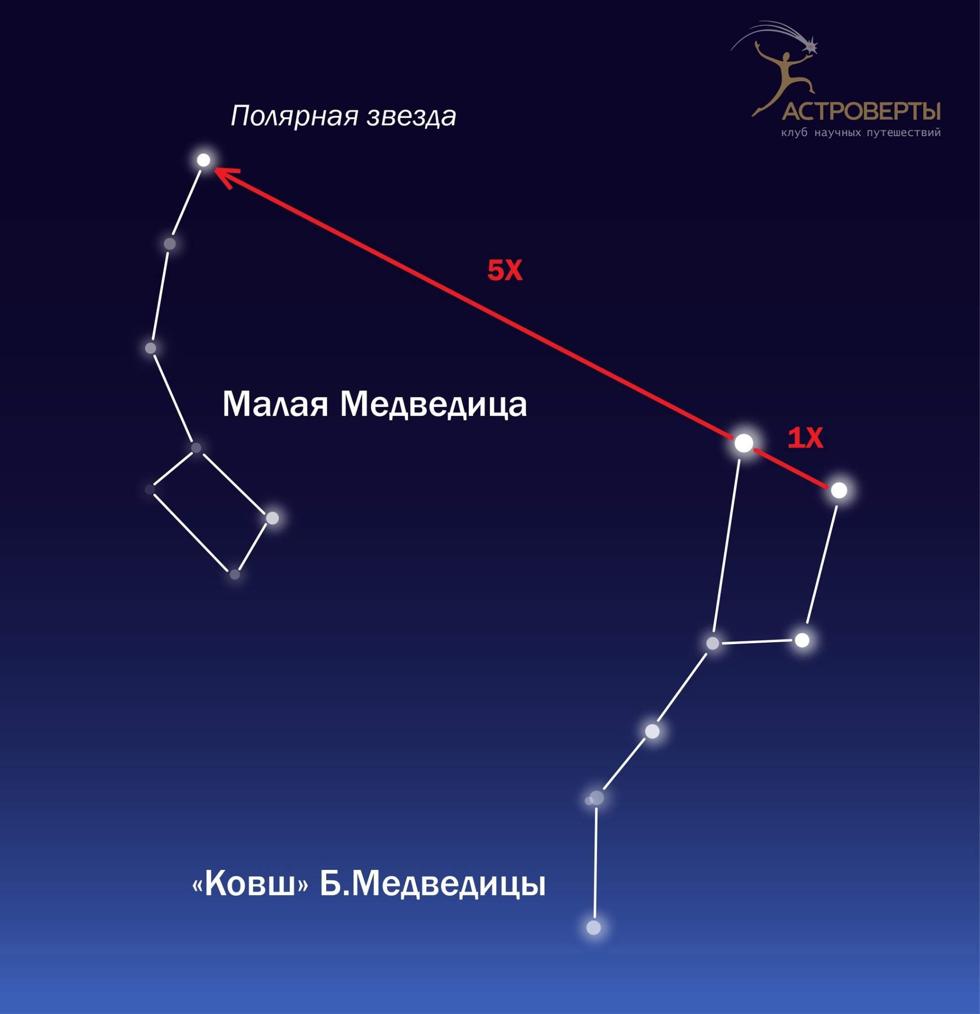 Большая медведица медвежьегорск фото