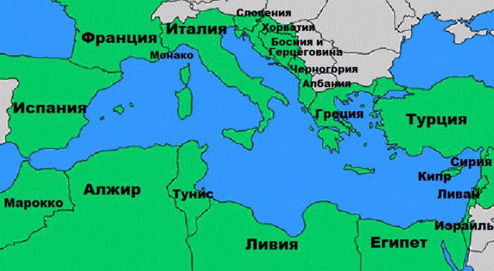 Какое море омывает берега 22 стран?